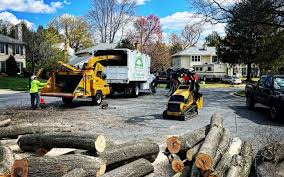 Montana City, MT  Tree Services Company